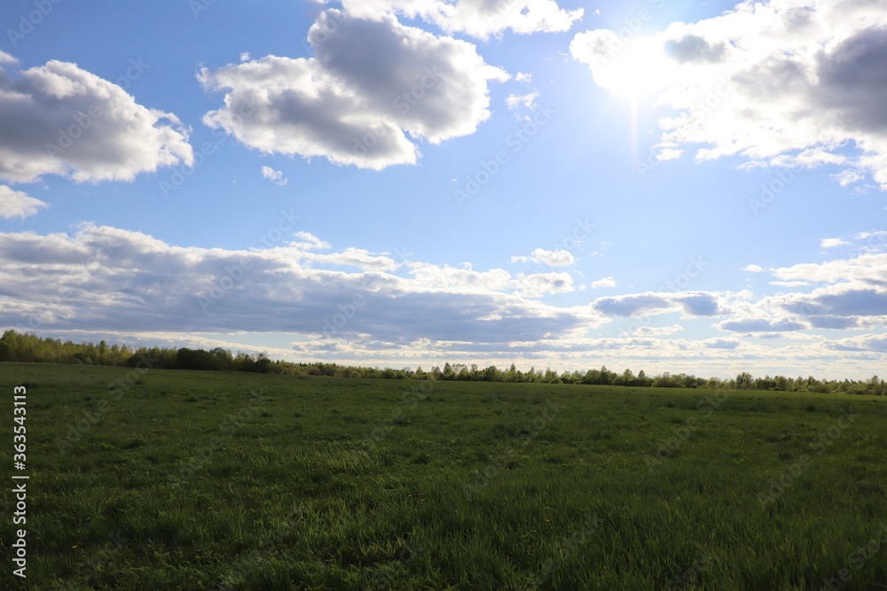 green field and blue sky