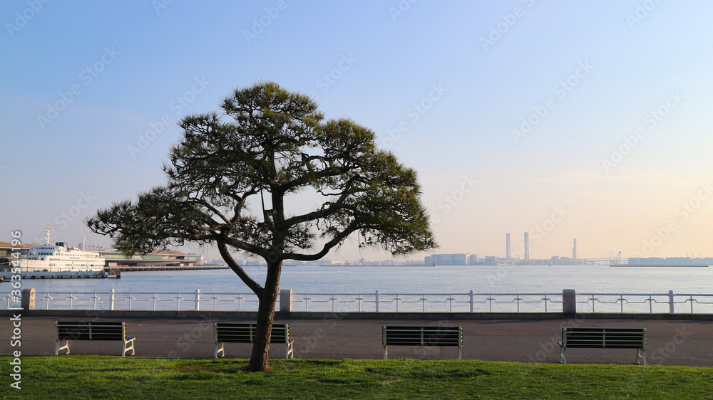 Fototapeta premium 横浜 夕暮れの山下公園
