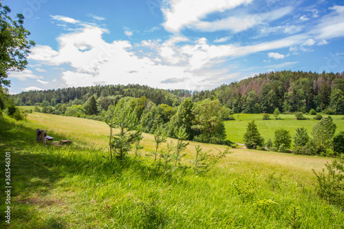 Fototapeta Naklejka Na Ścianę i Meble -  Landscape with meadows and forest in summer near Hildburghausen in Thuringia (Thüringen), Germany