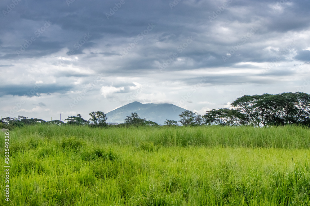 Grassy Field and Beautiful Volcano in Distance at Dusk - Mt. Arayat, Pampanga, Luzon, Philippines