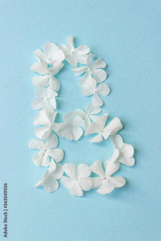 Flower Alphabet - B. Letter made from live flowers on light blue