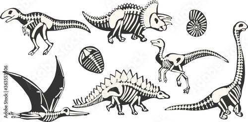 X-Ray Dino Skeleton vector clipart set hand drawn isolated on white background
