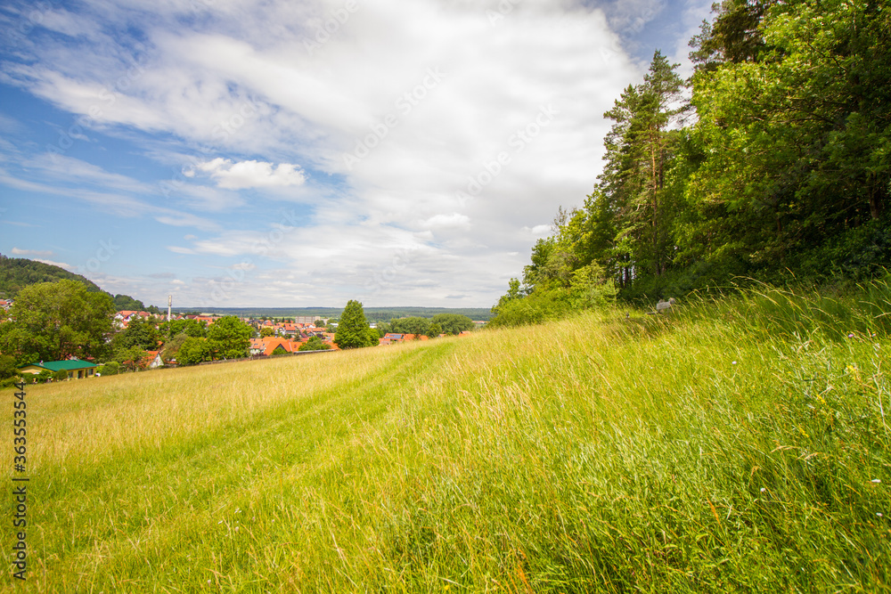 Landscape with meadows and forest in summer near Hildburghausen in Thuringia (Thüringen), Germany Landscape with meadows and forest in summer near Hildburghausen in Thuringia (Thüringen), Germany