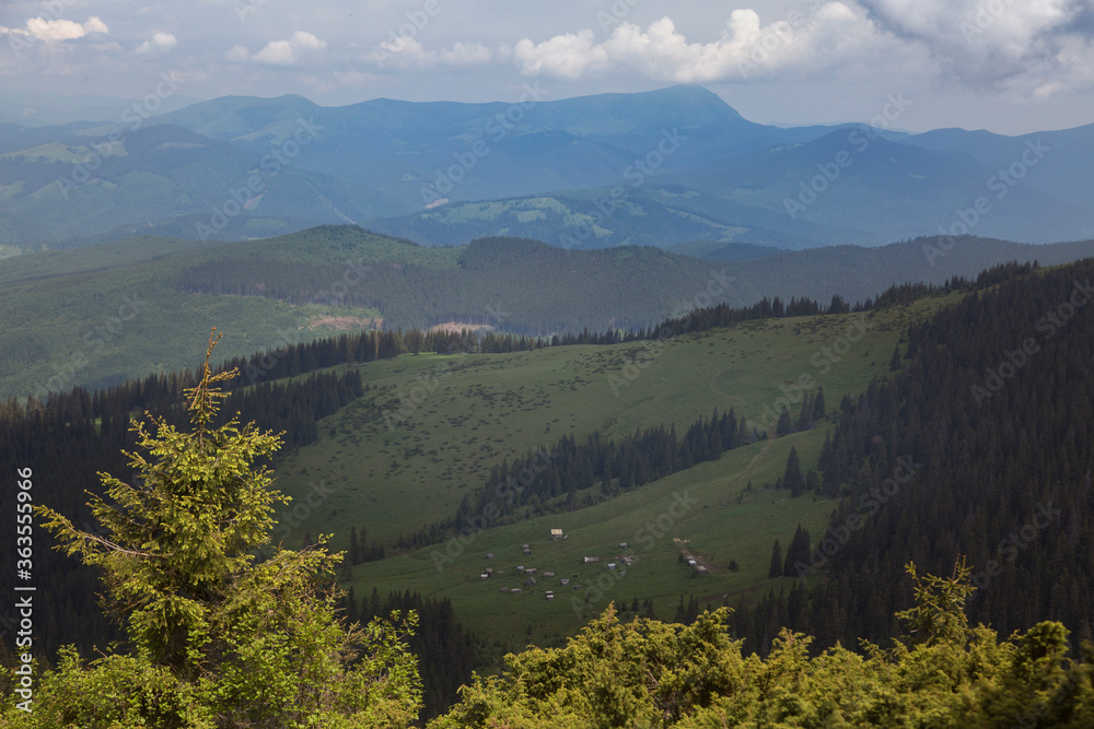 Summer panoramic landscapes of the mountain meadow near Popivan (Pip Ivan) mountain peak. Carpathians, Ukraine