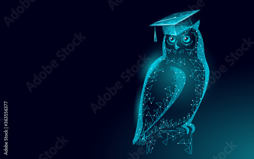 Owl bird symbol of wise education. E-learning distance concept. Graduate certificate program concept. Low poly 3D internet education course degree vector illustration photo