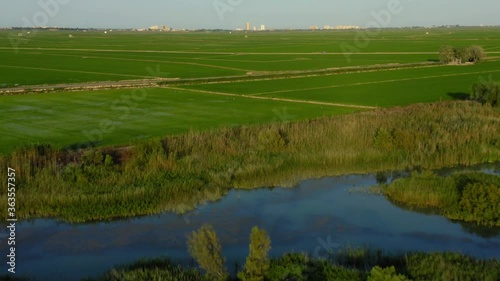Wetland rice fields in valencia spain aerial view