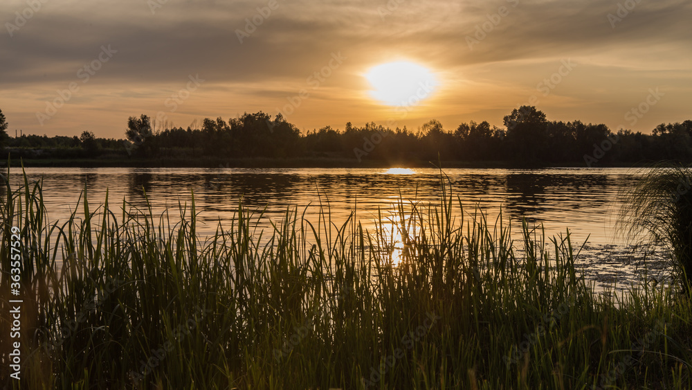 Summer, vacation. Sunset by the river. landscape with a tree during sunset in warm colors Summer, vacation. Sunset by the river. landscape with a tree during sunset in warm colors