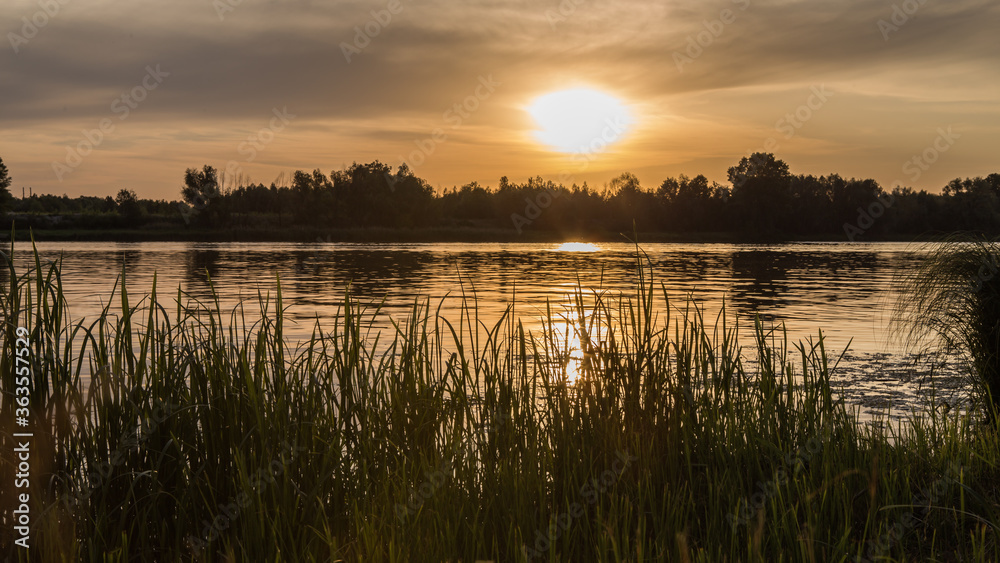 Summer, vacation. Sunset by the river. landscape with a tree  during sunset in warm colors