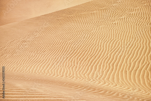 Fototapeta Naklejka Na Ścianę i Meble -  sand dunes in the desert