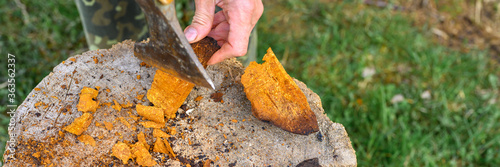 men's hands with an axe clean chaga mushroom birch fungus in the fresh air. step by step. banner photo