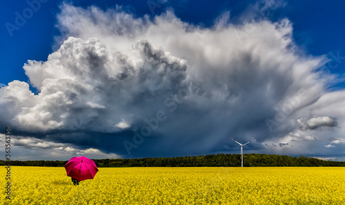 Approaching thunderstorm to blossoming rapeseed field, concept of weather for...