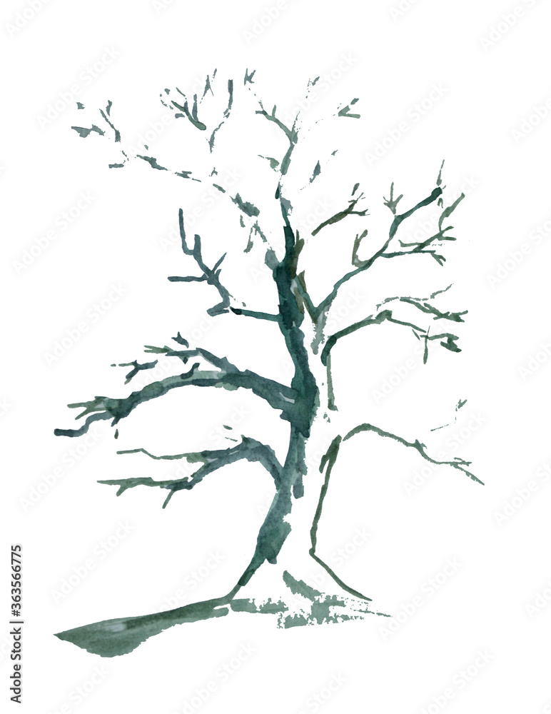 water color painted tree on white background
