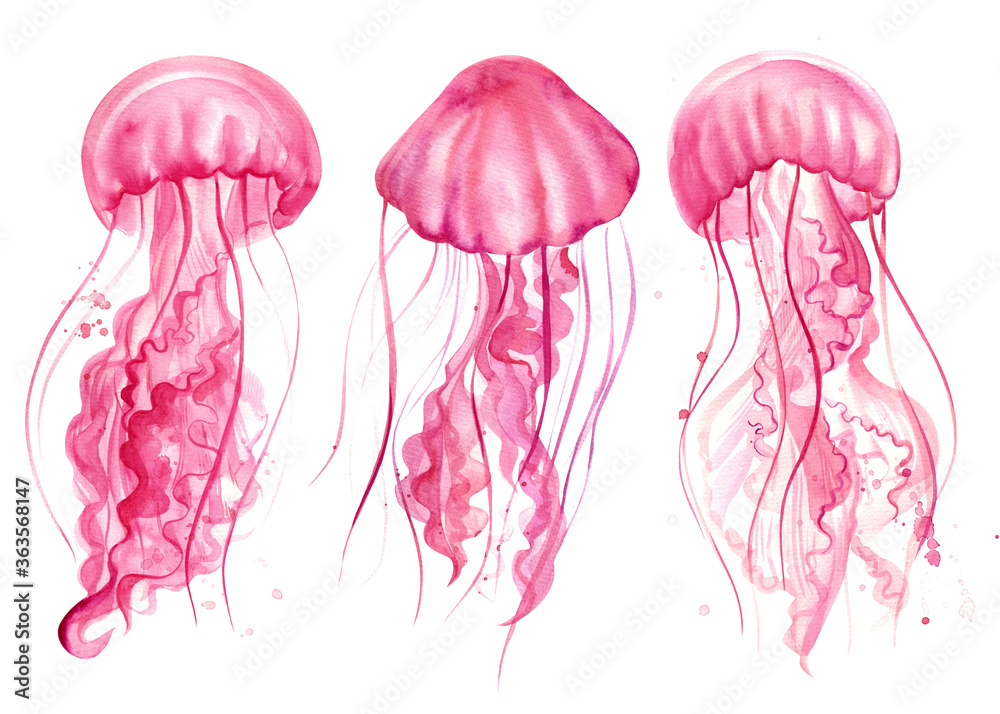 Naklejka premium Pink jellyfish Watercolor illustration on a white background. Marine inhabitants