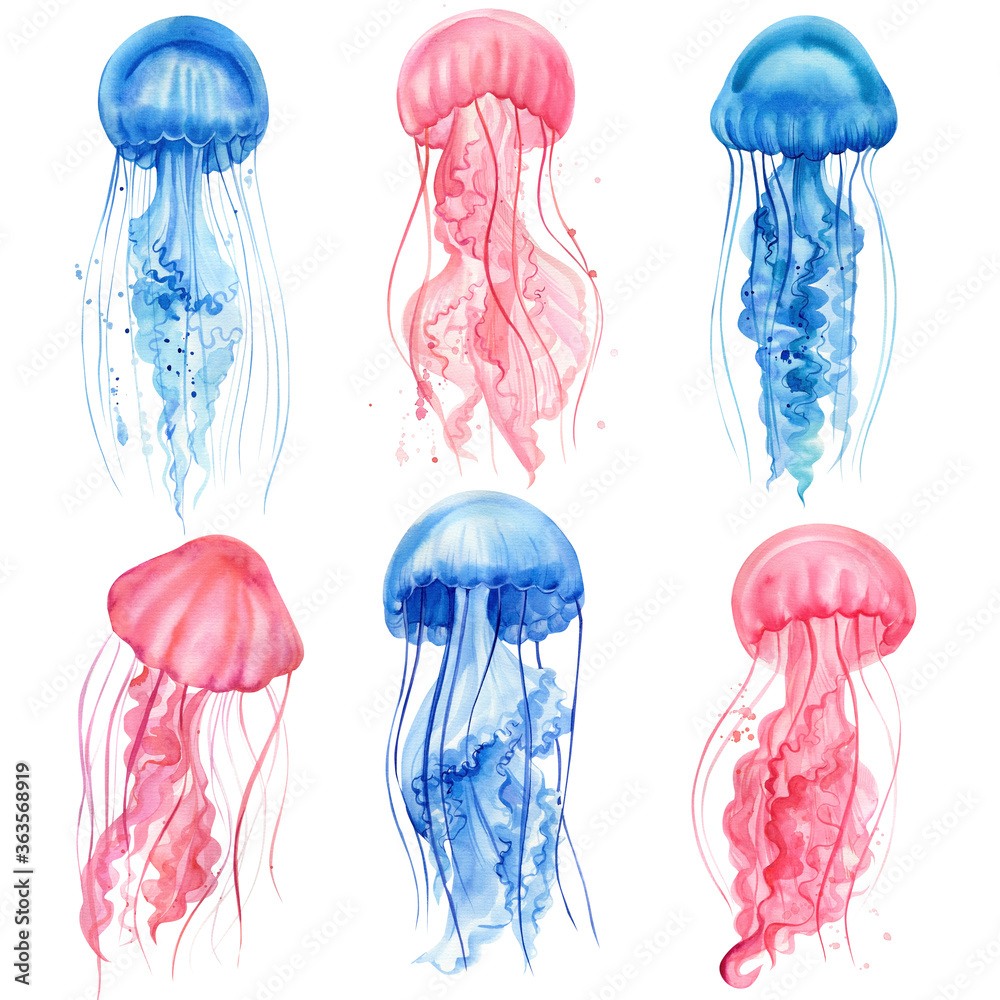 Beautiful jellyfish. Set of jellyfish drawings on a white isolated background. Watercolor illustration Beautiful jellyfish. Set of jellyfish drawings on a white isolated background. Watercolor illustration