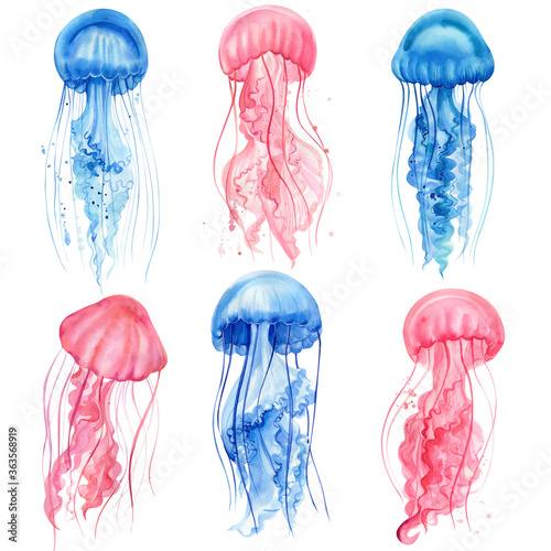 Beautiful jellyfish. Set of jellyfish drawings on a white isolated background. Watercolor illustration