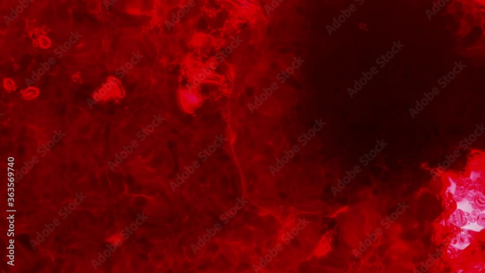 red grunge background red grunge background