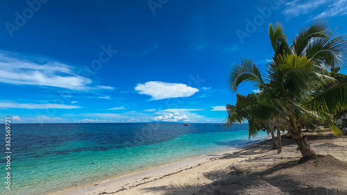sea view with blue sky and palm trees