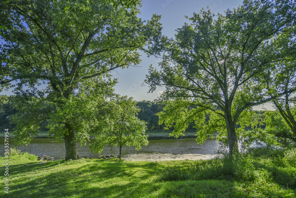 Summer landscape with trees, river and blue sky