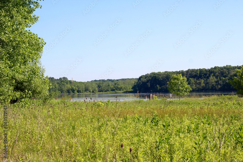 A view of the lake from the grass field on a sunny day.