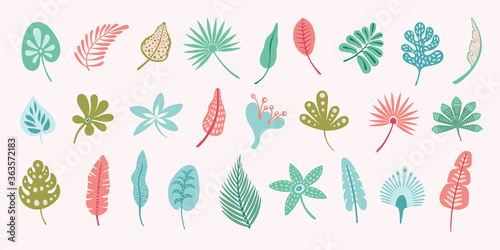 Vector leaves design set. Cute tropical leaf clip art. Nature illustration elements.