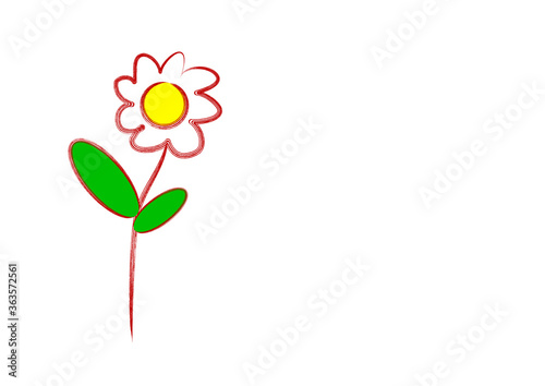 Hand drawn white daisy flower illustration isolated on the white background
