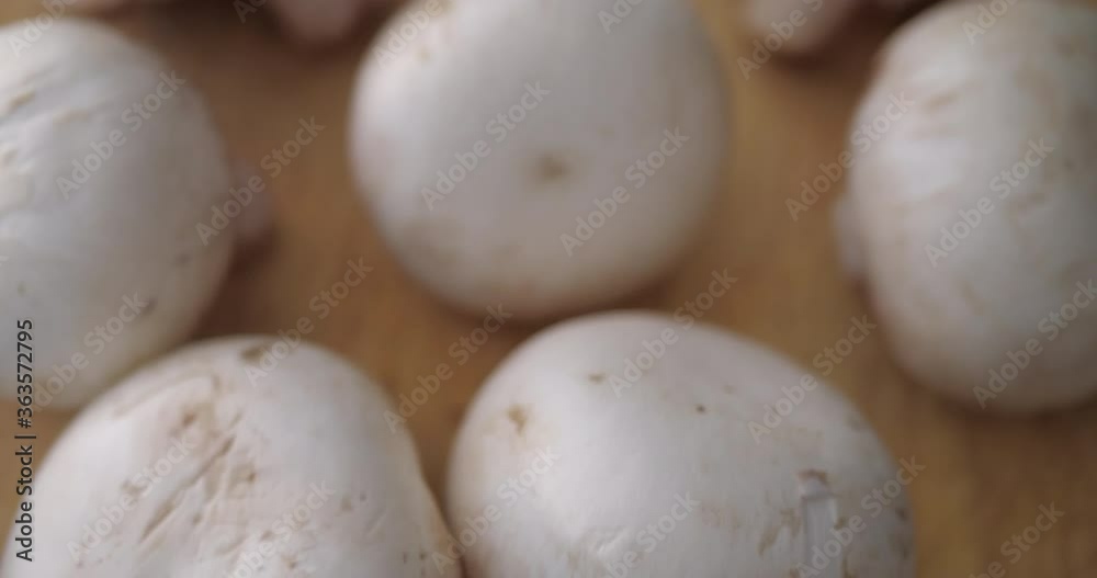 Raw champignon mushrooms.Slide movement from a blurry to a clear view. Raw champignon mushrooms.Slide movement from a blurry to a clear view.