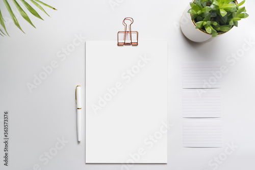 Clipboard with golden clip, fountain pen and plants on desk.  Branding stationery mockup. Corporate modern items set