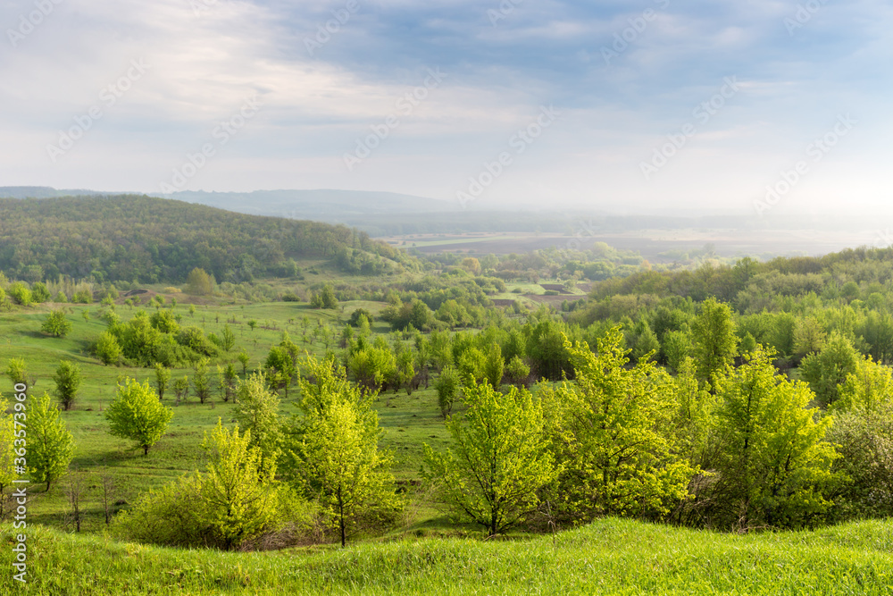 Fototapeta premium early morning landscape