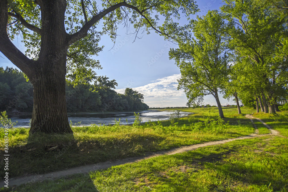 Summer landscape with trees, river and blue sky Summer landscape with trees, river and blue sky