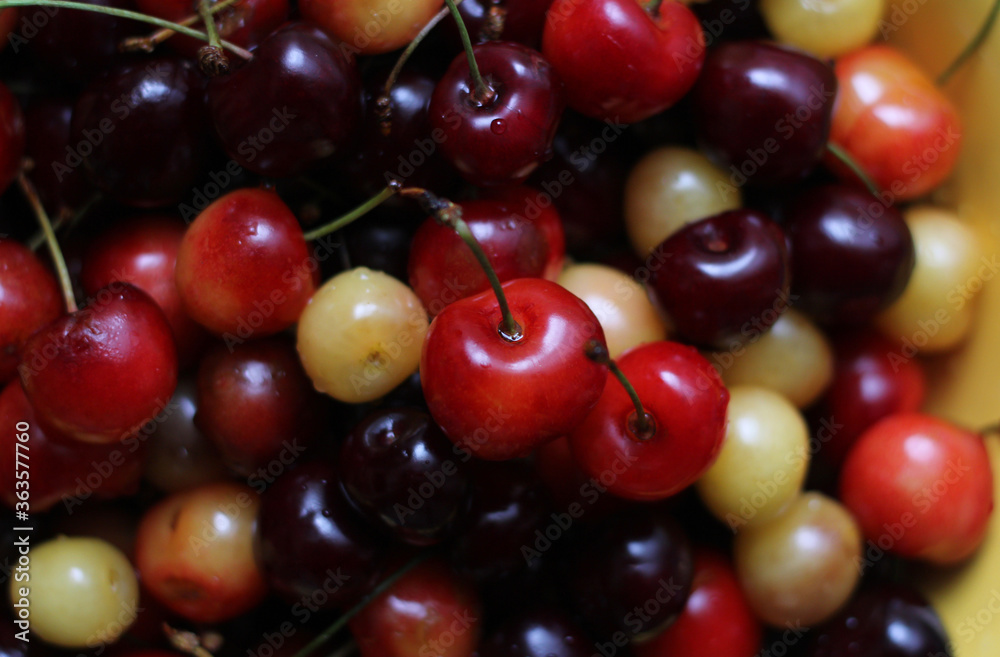 Background of red and yellow cherries, close up Background of red and yellow cherries, close up
