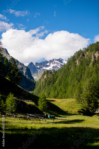 Alps Valley