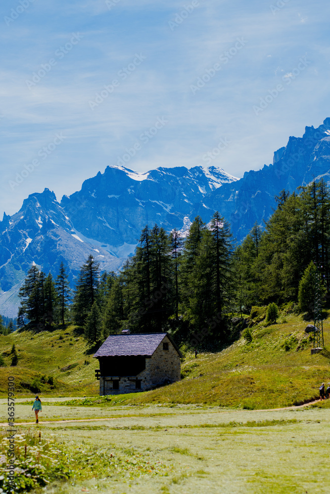 Cabin in the alps