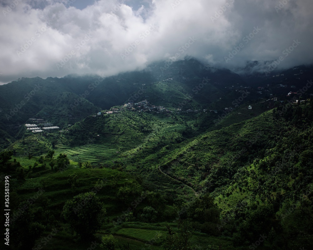 Fototapeta premium nature never fails us to inspire