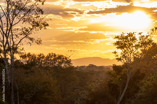 Nascer do sol na zona rural com montanha e pássaros.