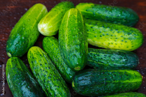 fresh homemade cucumbers from the garden