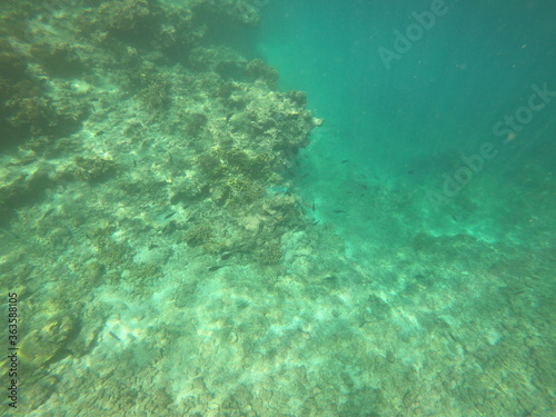 Fond marin  lagon de Maupiti  Polyn  sie fran  aise 