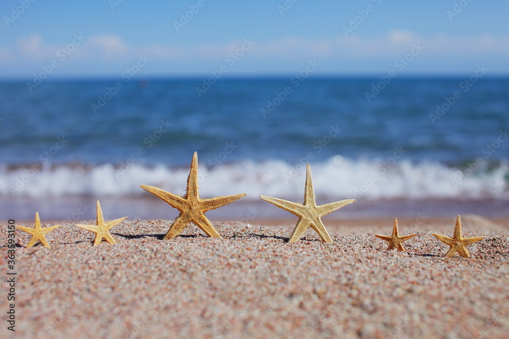Starfish on the beach. Sandy beach with waves. Summer vacation concept. Starfish on the beach. Sandy beach with waves. Summer vacation concept.