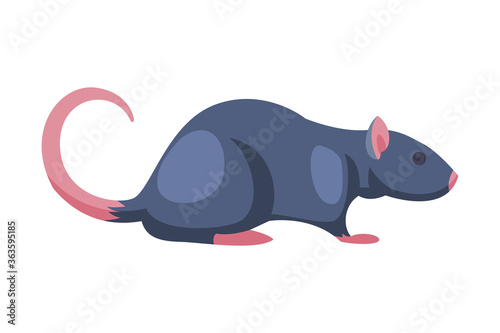 Rat Pest Animal, Home Parasite Vector Illustration on White Background