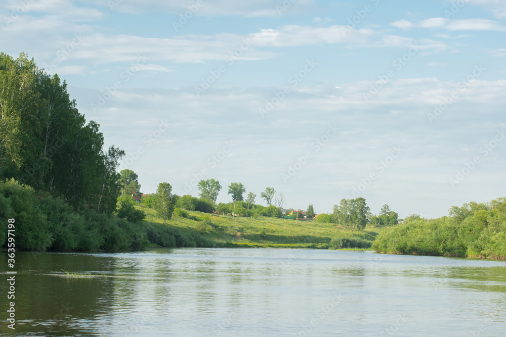 Fototapeta premium Summer nature river landscape. River grass summer view. Summer green river scene