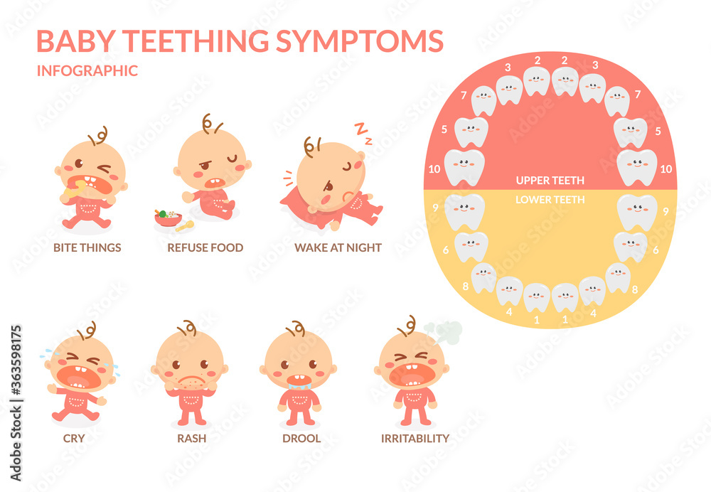 Baby teething symptoms. Rash, Drool, Irritability, Refuse food, Bite
