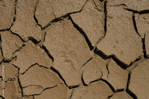 Detail Of Dry Ground On The Desert - Texture Pattern