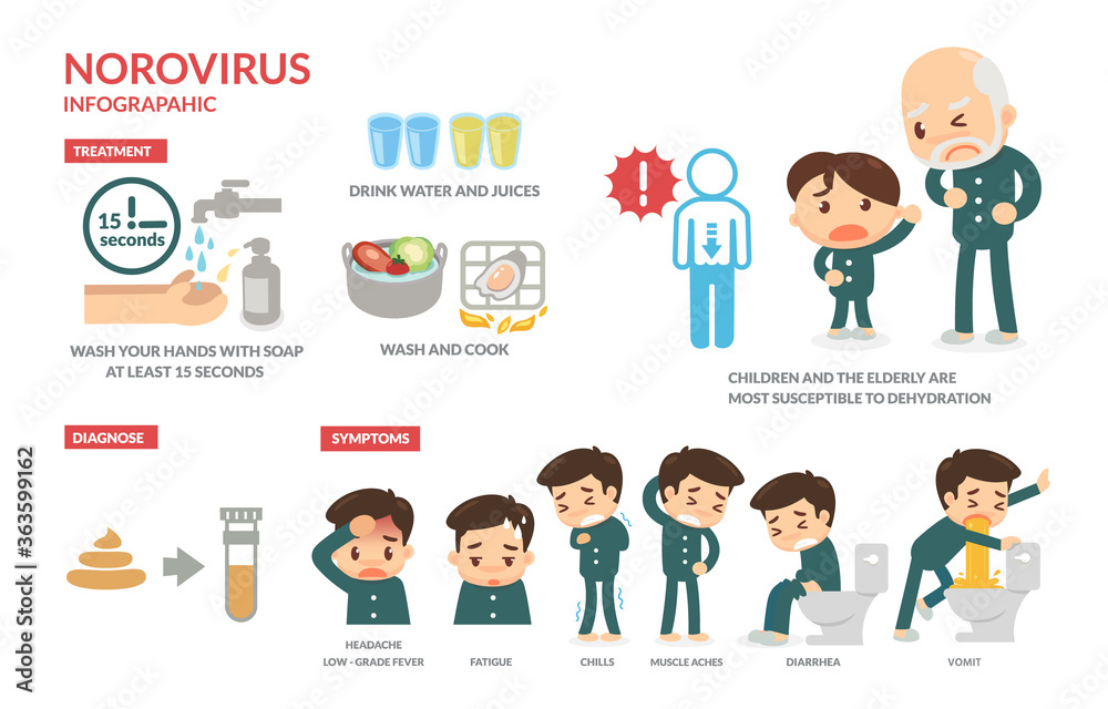 Norovirus. Infographic. Flat design vector.