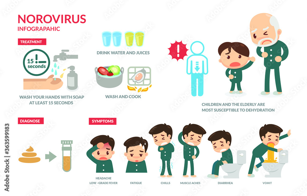 Norovirus. Infographic. Flat design vector. Norovirus. Infographic. Flat design vector.