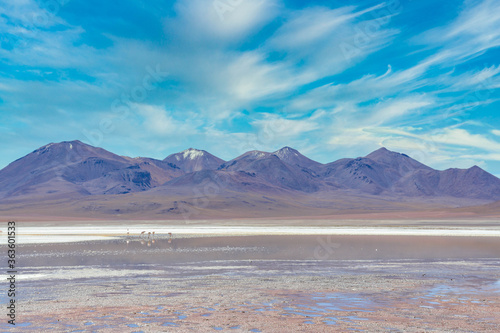 Laguna Colorada, Salar de Uyuni, Bolivie 