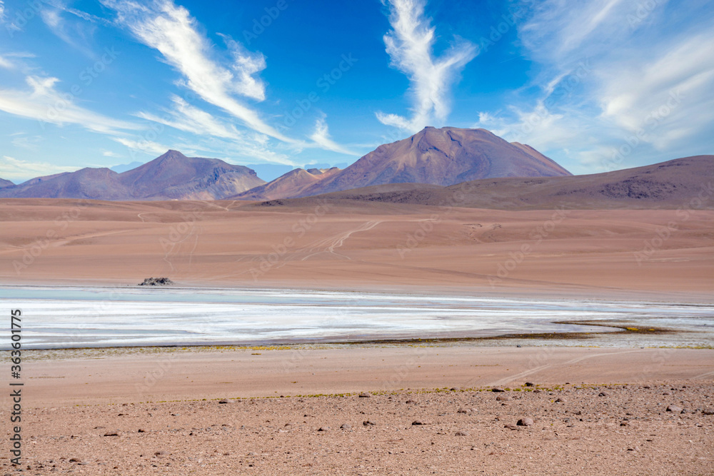 Laguna Colorada, Salar de Uyuni, Bolivie
