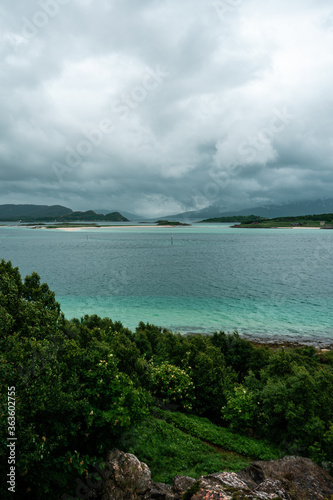 Amazing norwegian landscape - beautiful sea, mountains and natural plants. Sommaroy island, northern Norway. Vertical orientation.