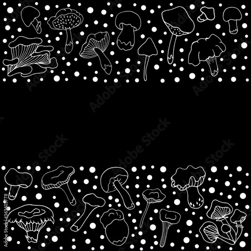 Set with mushrooms. Design of logos, books, albums, and magazines.  Vector isolated illustration with chanterelles, russules, oyster mushrooms, white mushrooms on a black background. Doodle style. 