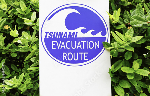 TSUNAMI EVACUATION ROUTE Sign,nature green leaves background,Natural power concept.