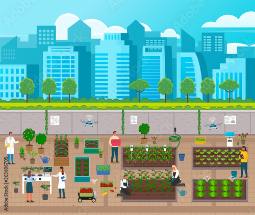 Urban agriculture. City farming, using modern technologies, solar panel, flying drones with gps signal. Developing farm infrastructure at city background. Farmers growing fresh vegetables, fruits