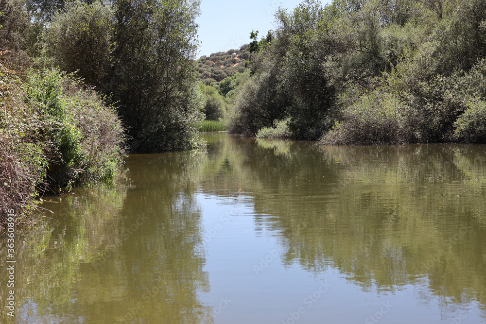 El Pardo, Rio Manzanares